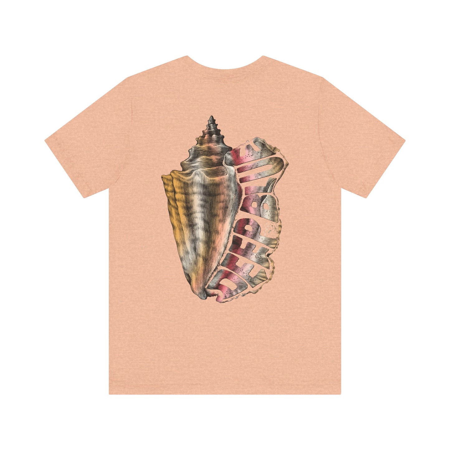 Vintage Conch